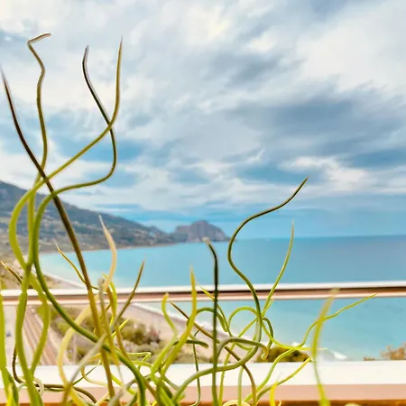 Seaside Oasis